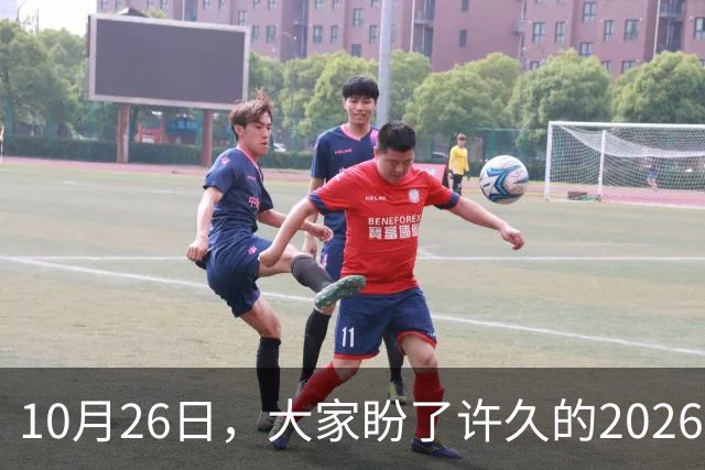 10月26日，大家盼了许久的2026年退休人员基本养老金不涨了吗？