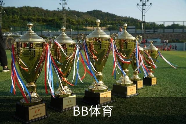 关于BB体育
